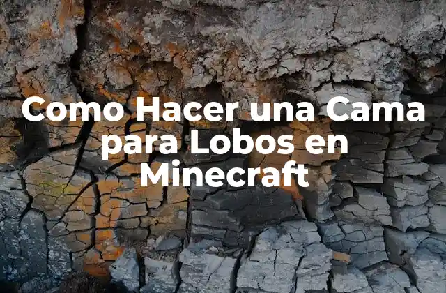 ¿Qué es una Cama para Lobos en Minecraft?