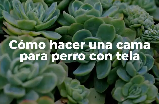 Cómo Hacer una Cama para Perro con Tela