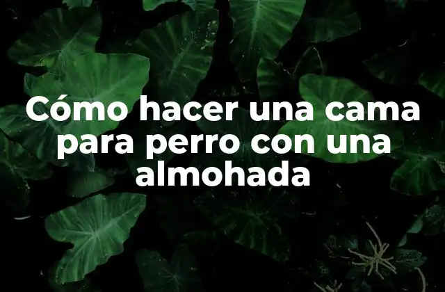 Cómo hacer una cama para perro con una almohada
