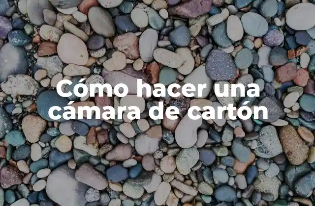 Cómo Hacer una Cámara de Cartón