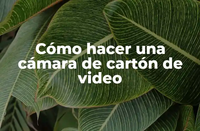 Cómo Hacer una Cámara de Cartón de Video