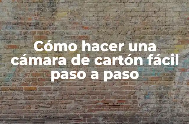 Cómo Hacer una Cámara de Cartón Fácil Paso a Paso