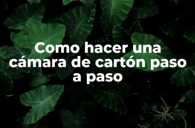 Como Hacer una Cámara de Cartón Paso a Paso