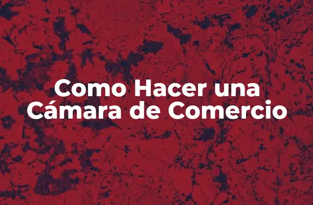 Como Hacer una Cámara de Comercio