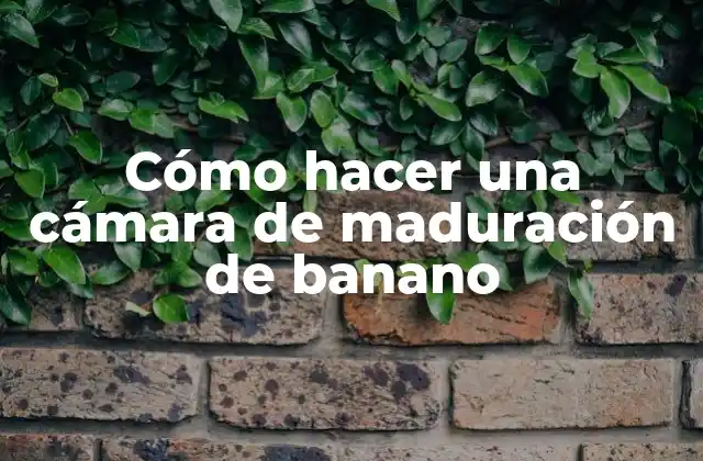 Cómo Hacer una Cámara de Maduración de Banano