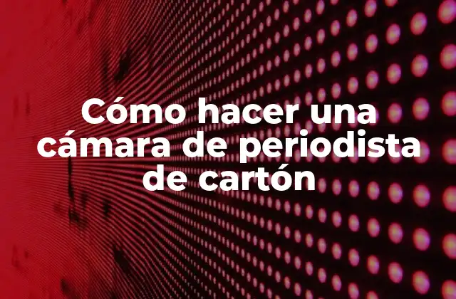 Cómo Hacer una Cámara de Periodista de Cartón