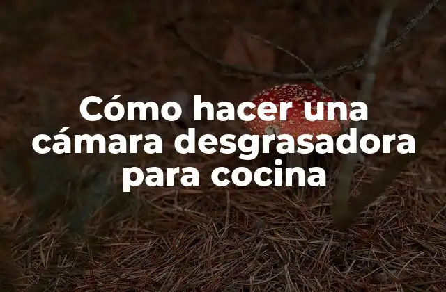 Cómo Hacer una Cámara Desgrasadora para Cocina