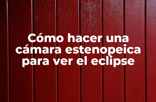 Cómo Hacer una Cámara Estenopeica para Ver el Eclipse