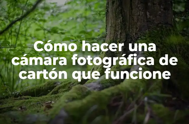 Cómo Hacer una Cámara Fotográfica de Cartón que Funcione