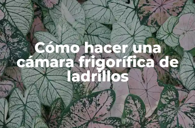 Cómo Hacer una Cámara Frigorífica de Ladrillos
