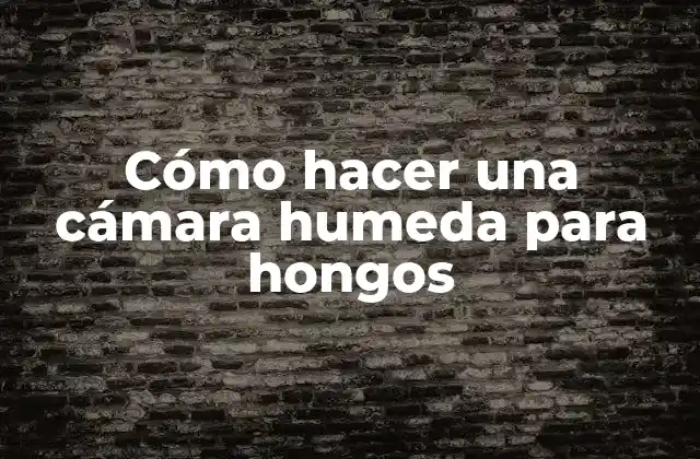 Cómo Hacer una Cámara Humeda para Hongos