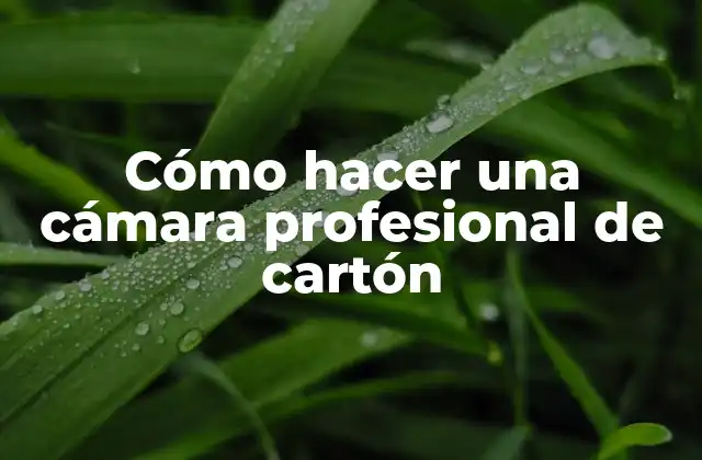 Cómo Hacer una Cámara Profesional de Cartón