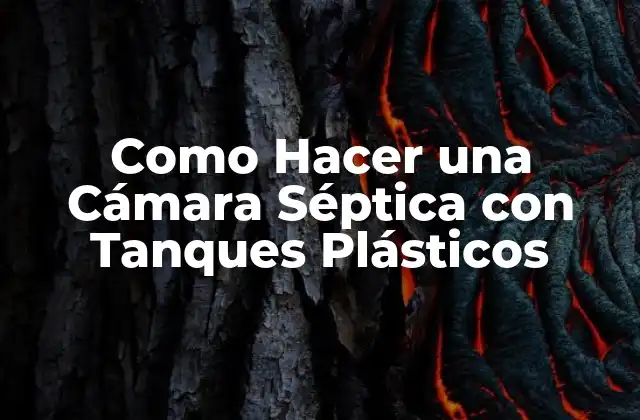 Como Hacer una Cámara Séptica con Tanques Plásticos 2 Como Hacer una Cámara Séptica con Tanques Plásticos