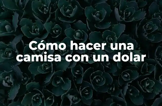 Cómo Hacer una Camisa con un Dolar 2 Cómo hacer una camisa con un dolar