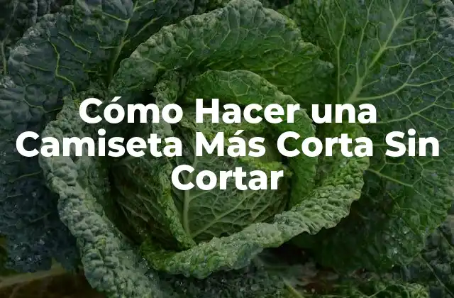 Cómo Hacer una Camiseta Más Corta sin Cortar