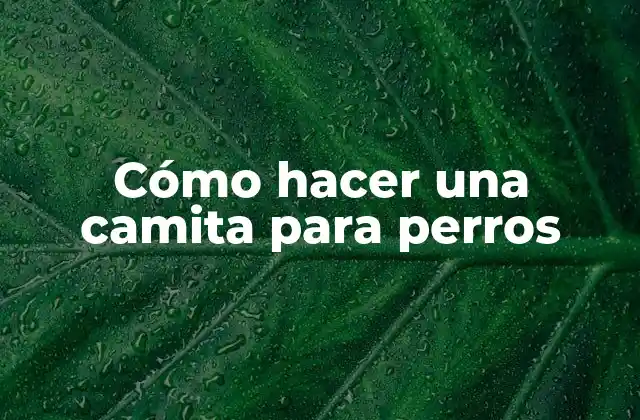 Cómo Hacer una Camita para Perros