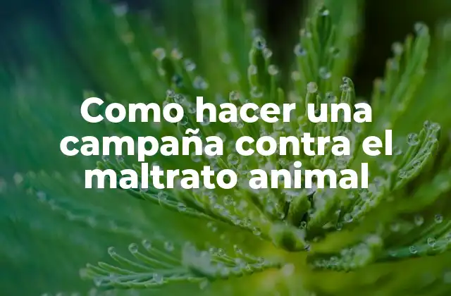 Como Hacer una Campaña contra el Maltrato Animal