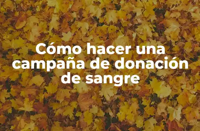 Cómo Hacer una Campaña de Donación de Sangre