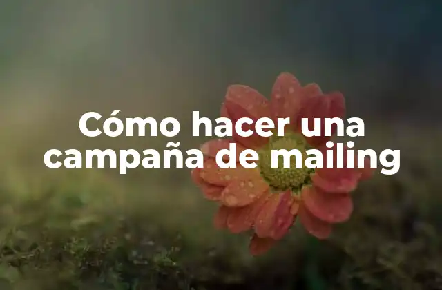Cómo Hacer una Campaña de Mailing