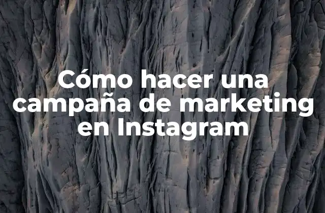 Cómo Hacer una Campaña de Marketing en Instagram
