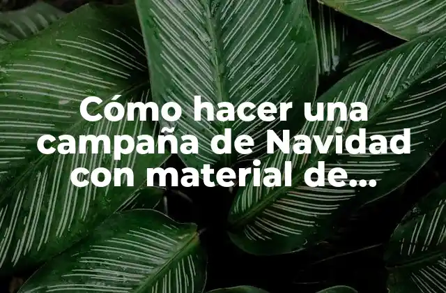 Cómo Hacer una Campaña de Navidad con Material de Reciclaje