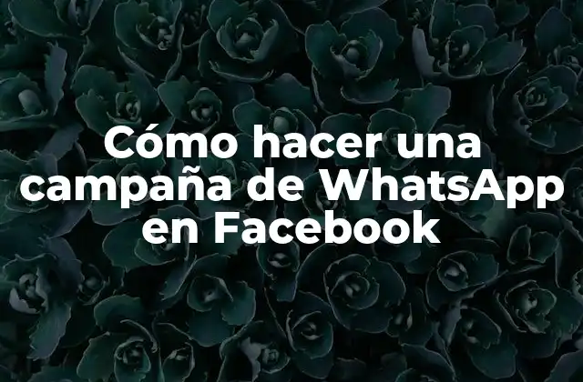 Cómo Hacer una Campaña de Whatsapp en Facebook