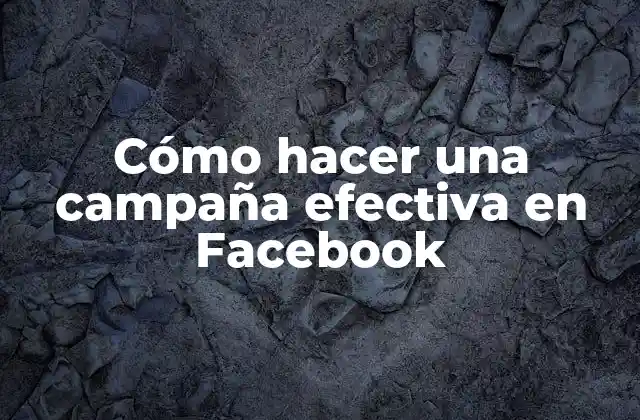 Cómo Hacer una Campaña Efectiva en Facebook 2 Cómo hacer una campaña efectiva en Facebook