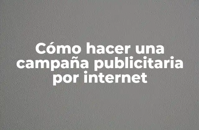 Cómo Hacer una Campaña Publicitaria por Internet