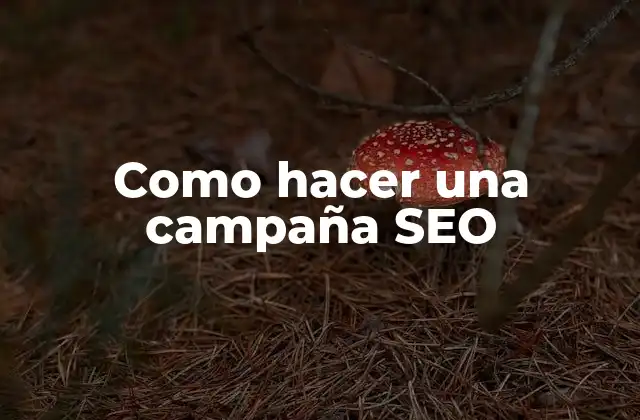 Como Hacer una Campaña Seo