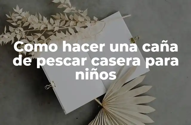 Como Hacer una Caña de Pescar Casera para Niños