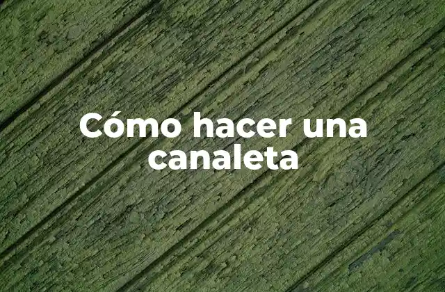 Cómo Hacer una Canaleta