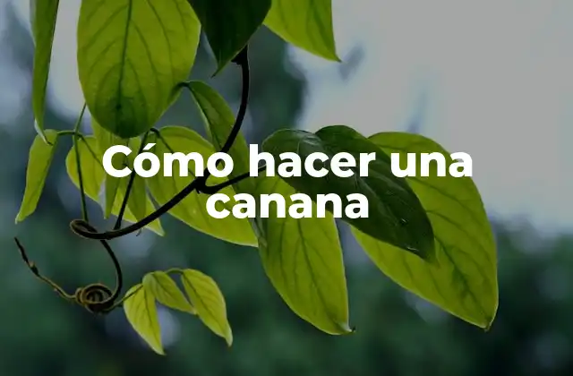 Cómo Hacer una Canana