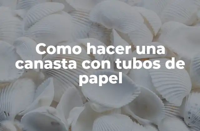 Como Hacer una Canasta con Tubos de Papel