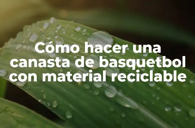 Cómo Hacer una Canasta de Basquetbol con Material Reciclable