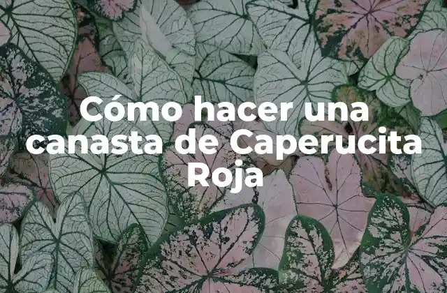 Cómo Hacer una Canasta de Caperucita Roja