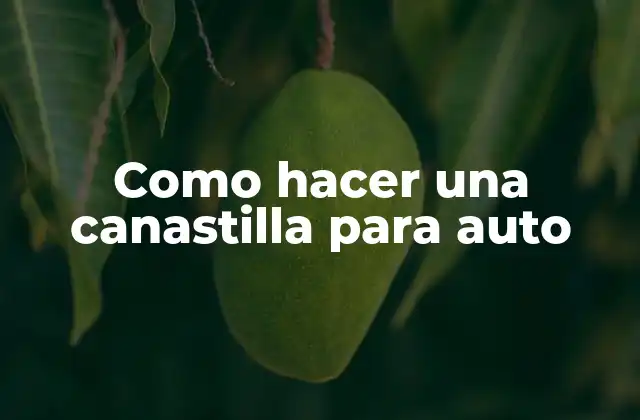 Como Hacer una Canastilla para Auto