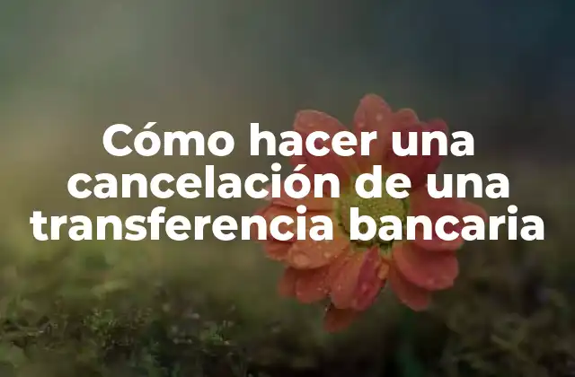 Cómo Hacer una Cancelación de una Transferencia Bancaria