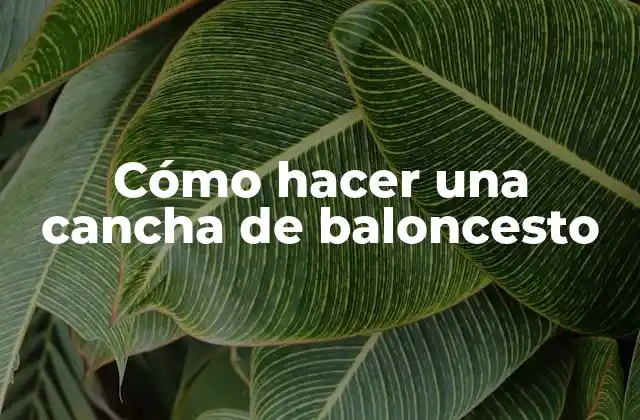 ¿Qué es una cancha de baloncesto?