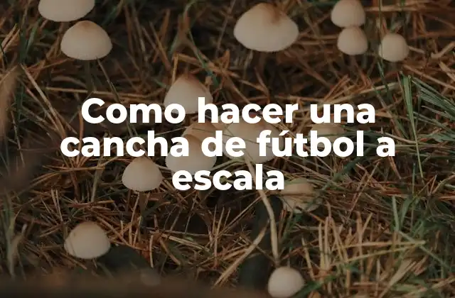 Como Hacer una Cancha de Fútbol a Escala