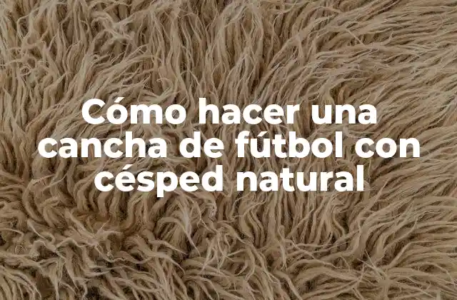 Cómo Hacer una Cancha de Fútbol con Césped Natural