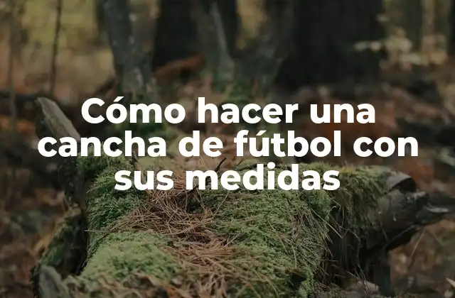 Cómo Hacer una Cancha de Fútbol con Sus Medidas