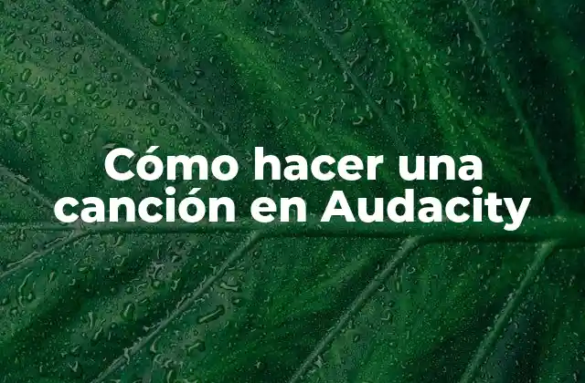 Cómo Hacer una Canción en Audacity