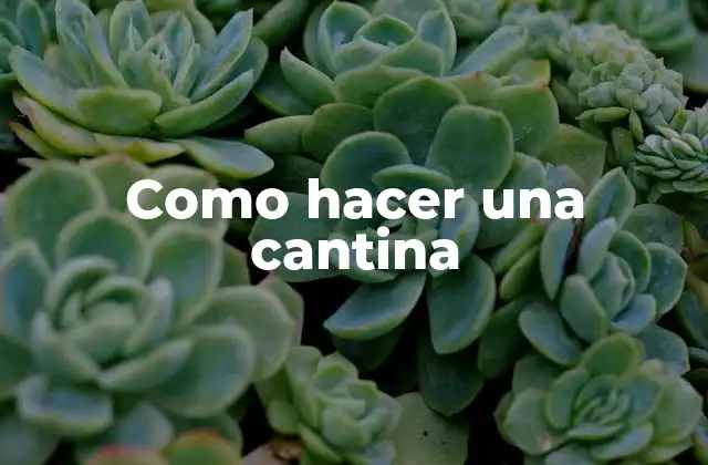 Como Hacer una Cantina