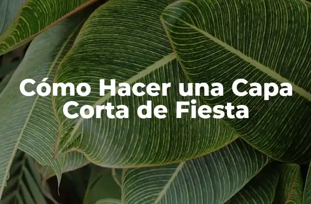 Cómo Hacer una Capa Corta de Fiesta
