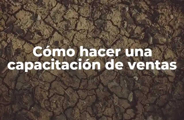 Cómo Hacer una Capacitación de Ventas