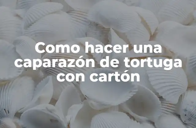 Como Hacer una Caparazón de Tortuga con Cartón