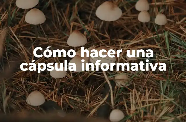¿Qué es una cápsula informativa?