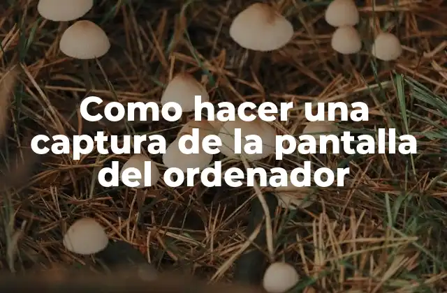 Como Hacer una Captura de la Pantalla Del Ordenador