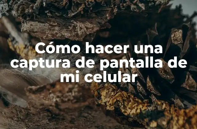 Cómo Hacer una Captura de Pantalla de Mi Celular 2 Cómo hacer una captura de pantalla de mi celular
