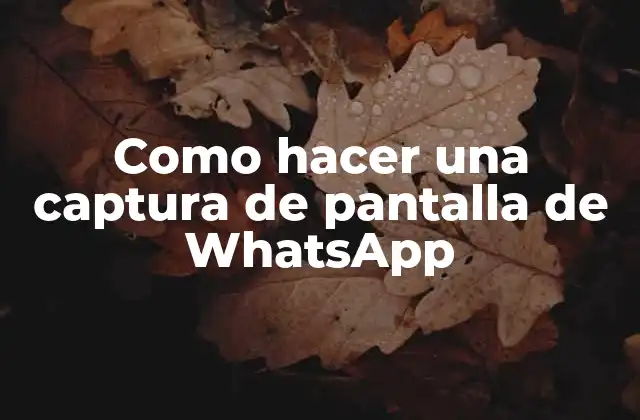 Como Hacer una Captura de Pantalla de Whatsapp
